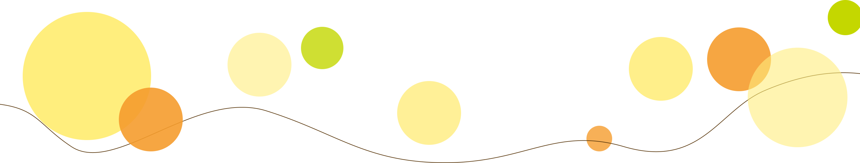 FV_marudesign